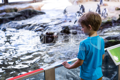 Young man looking at a river