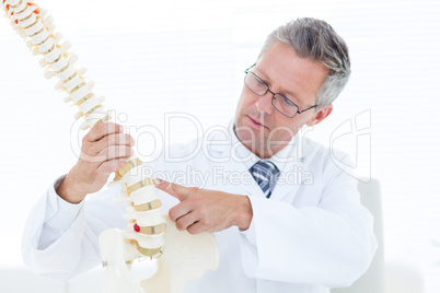 Doctor pointing anatomical spine