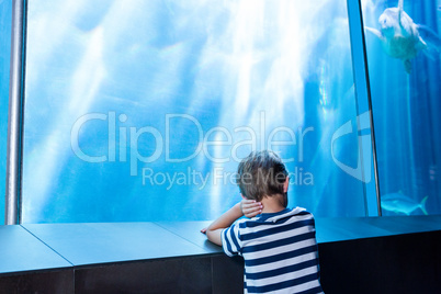 young man waiting in front of an aquarium
