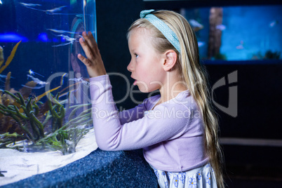 Young woman looking at fish in tank