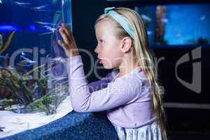 Young woman looking at fish in tank