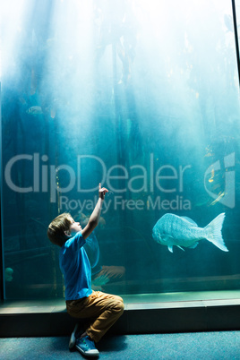 Young man pointing the top of a tank