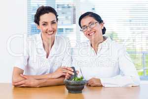 Scientists mixing herbs with pestle and mortar