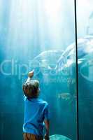 Young man pointing fish in a illuminate tank