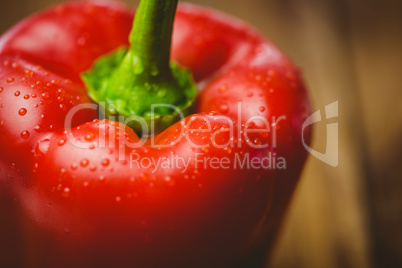 Red pepper with water drops