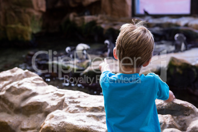 Young man pointing a penguins with his finger