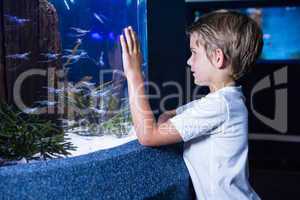 Happy young man looking at fish