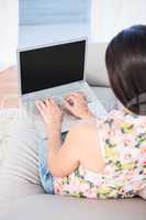 Pretty brunette using laptop on couch