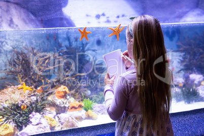 young woman drawing starfish in a tank