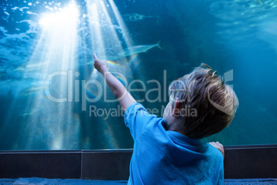 Young man pointing the light across the tank