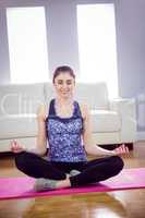 Fit woman doing yoga on mat