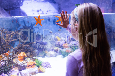 Young woman touching a starfish-tank