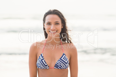 Smiling pretty brunette posing in bikini