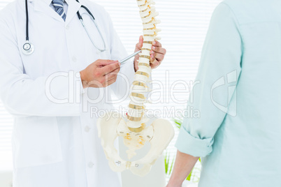 Doctor pointing anatomical spine