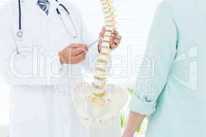 Doctor pointing anatomical spine