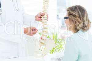 Doctor pointing anatomical spine