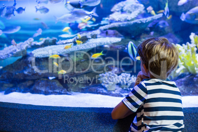 Young man sitting in front of a fish-tank