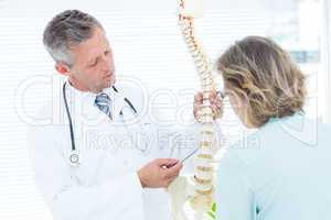 Doctor pointing anatomical spine