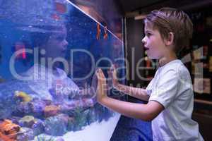 Young man touching a starfish-tank