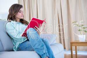 Concentrate brunette reading a book