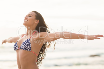 Smiling pretty brunette posing in bikini