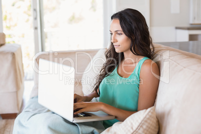 Pretty brunette using her laptop on the couch