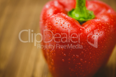 Red pepper with water drops