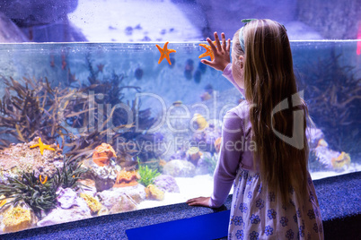 Young woman looking at starfish-tank