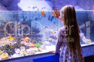 Young woman looking at starfish-tank