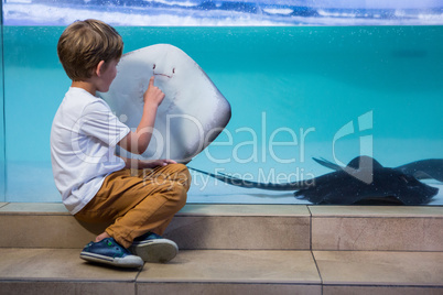 Young man pointing a manta ray