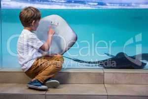 Young man pointing a manta ray