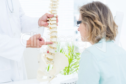 Doctor pointing anatomical spine