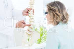 Doctor pointing anatomical spine