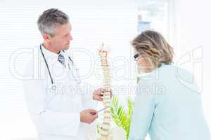 Doctor pointing anatomical spine