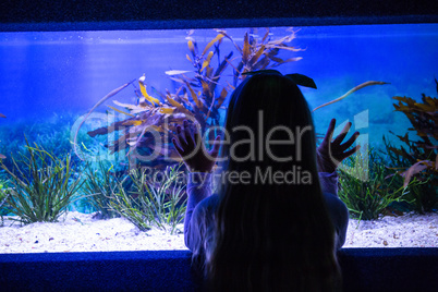 Young woman touching a fish-tank