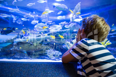 Young man sitting in front of a fish-tank