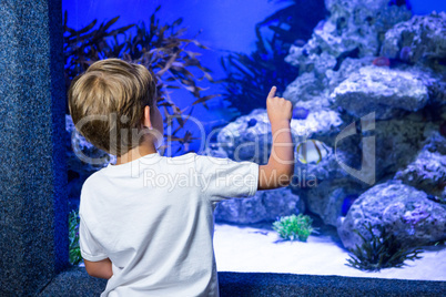 Young man pointing a stone in a tank