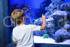 Young man pointing a stone in a tank