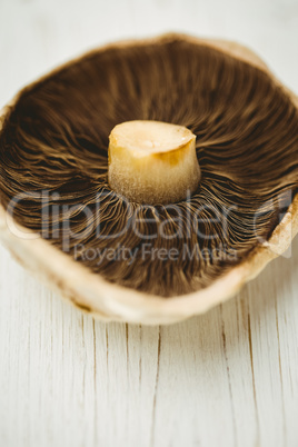 Fresh mushroom