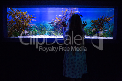 Young woman touching a fish-tank