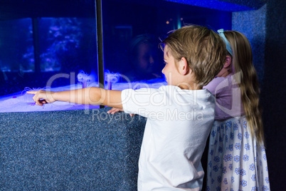 Young man pointing a sea anemone in tank