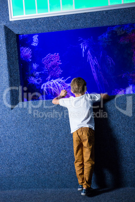 Young man looking at algae tank