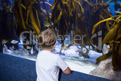 Young man looking at yellow algae