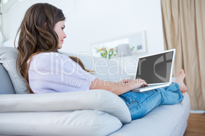 Pretty brunette using her laptop on couch