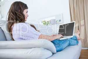 Pretty brunette using her laptop on couch