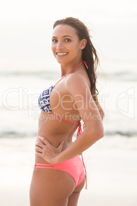 Smiling pretty brunette posing in bikini