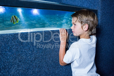 Young man looking at fish in a small tank