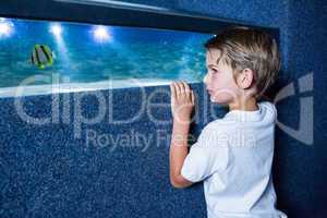 Young man looking at fish in a small tank