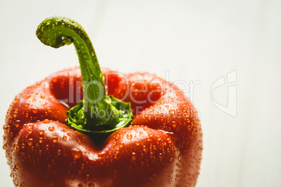 Red pepper with water drops