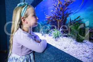 Happy young woman looking at fish